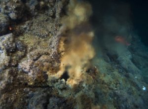 diffuse geothermal seeps Cortez Sea