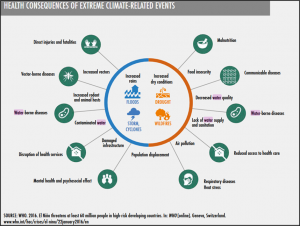 Chart shows specific impact of drought