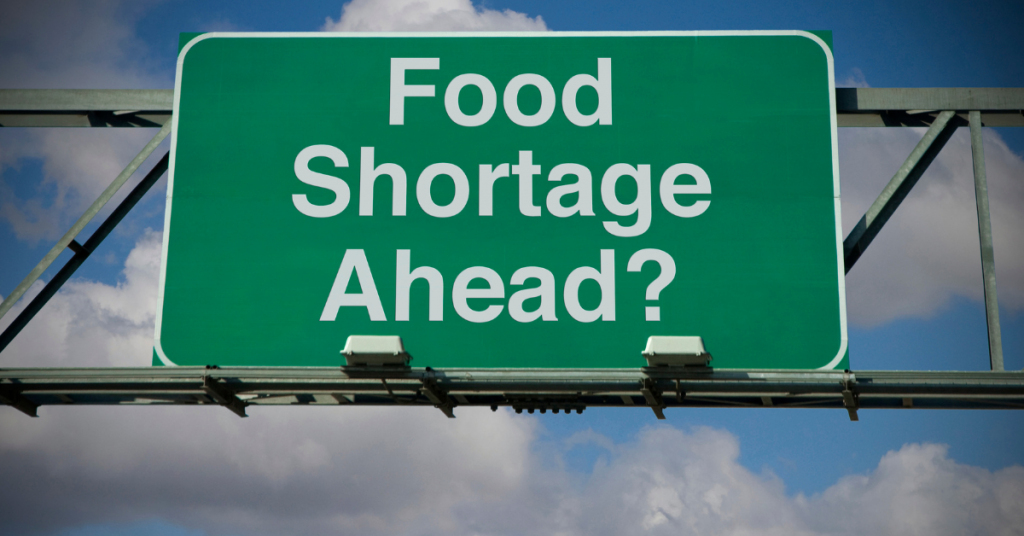 National Food Shortage 2024 Fran Maggie