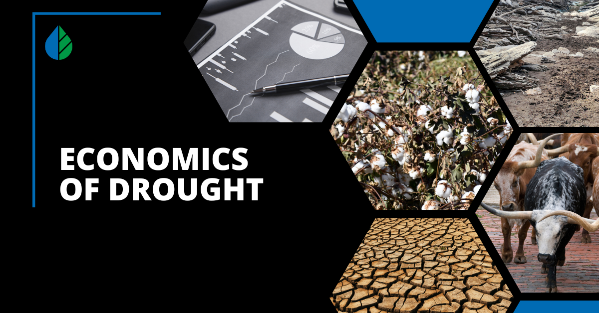 Economics of Drought