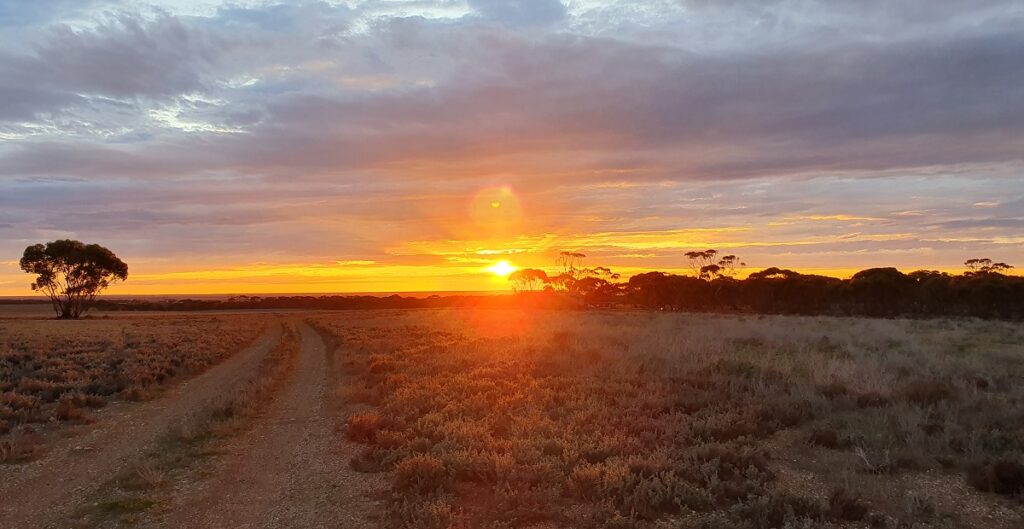 AquaterreX South Australia Sunrise