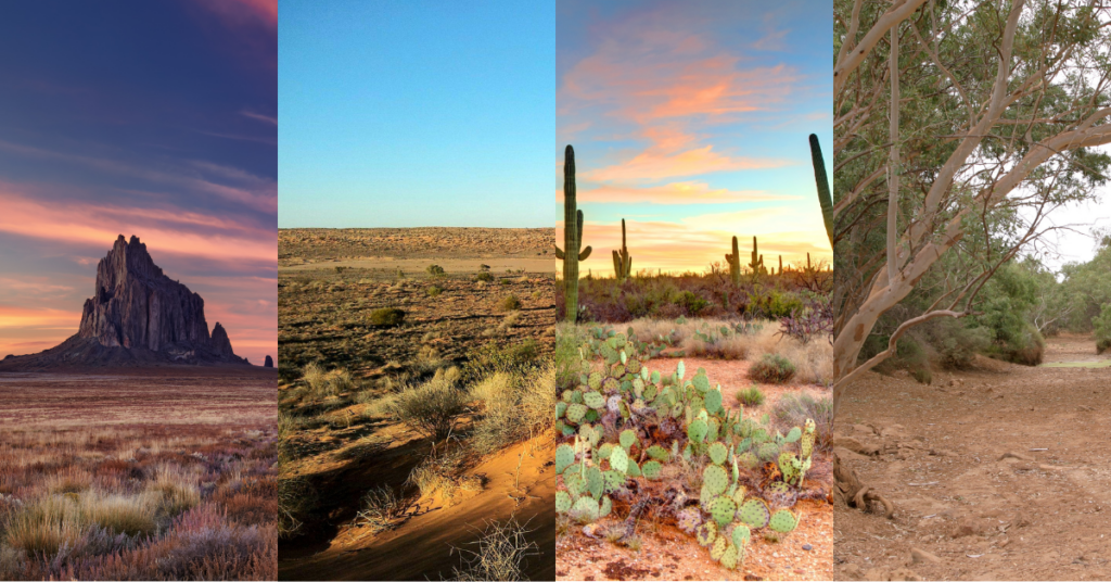 arid land in New Mexico, Australia, Arizona, and Australia