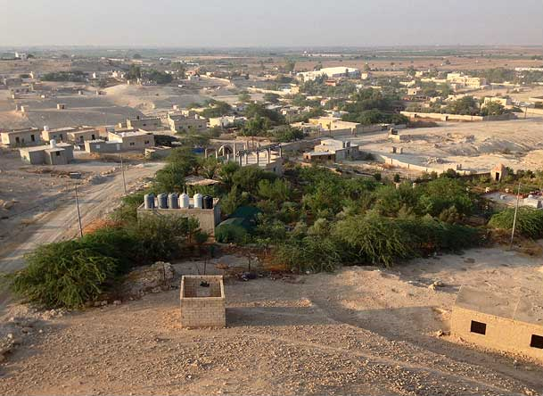 Greening the Desert 