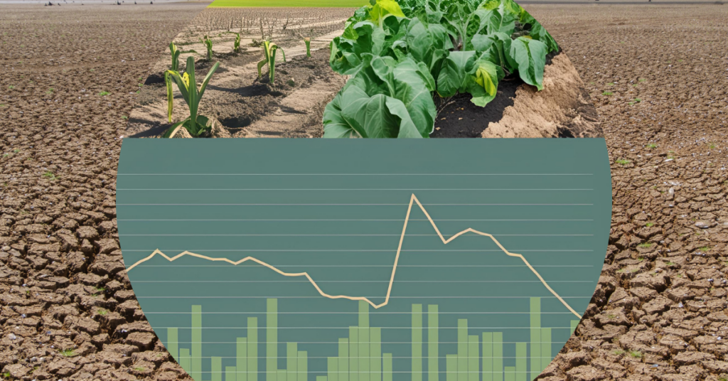 Drought low crop yields